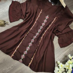 Brown Color Embroidery Work Classy Top
