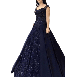 Beautiful Color Gown in low rate