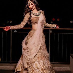 Pretty Beige Color Chine Sequence Work Soft Net Choli