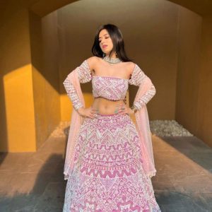 Lady Wear Pink Color Chine Stitched Work Soft Net Choli