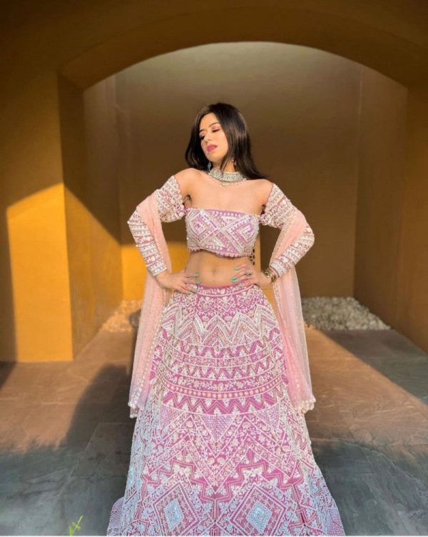 Lady Wear Pink Color Chine Stitched Work Soft Net Choli